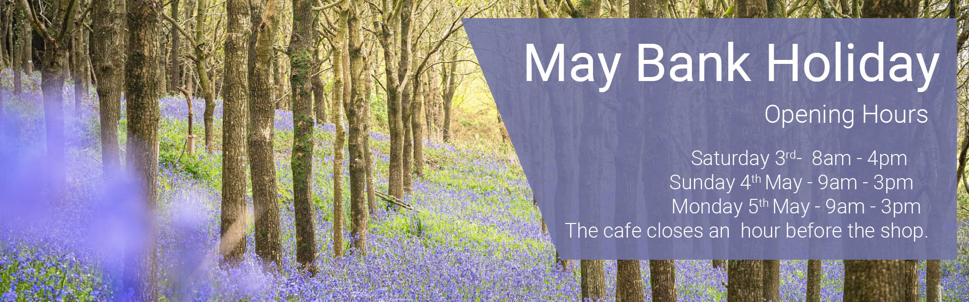 May Bank Holiday Hours 2025